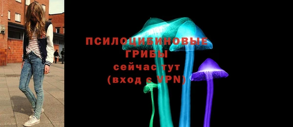 бошки Нягань