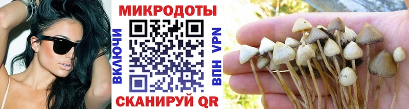 Галлюциногенные грибы Psilocybe Анива